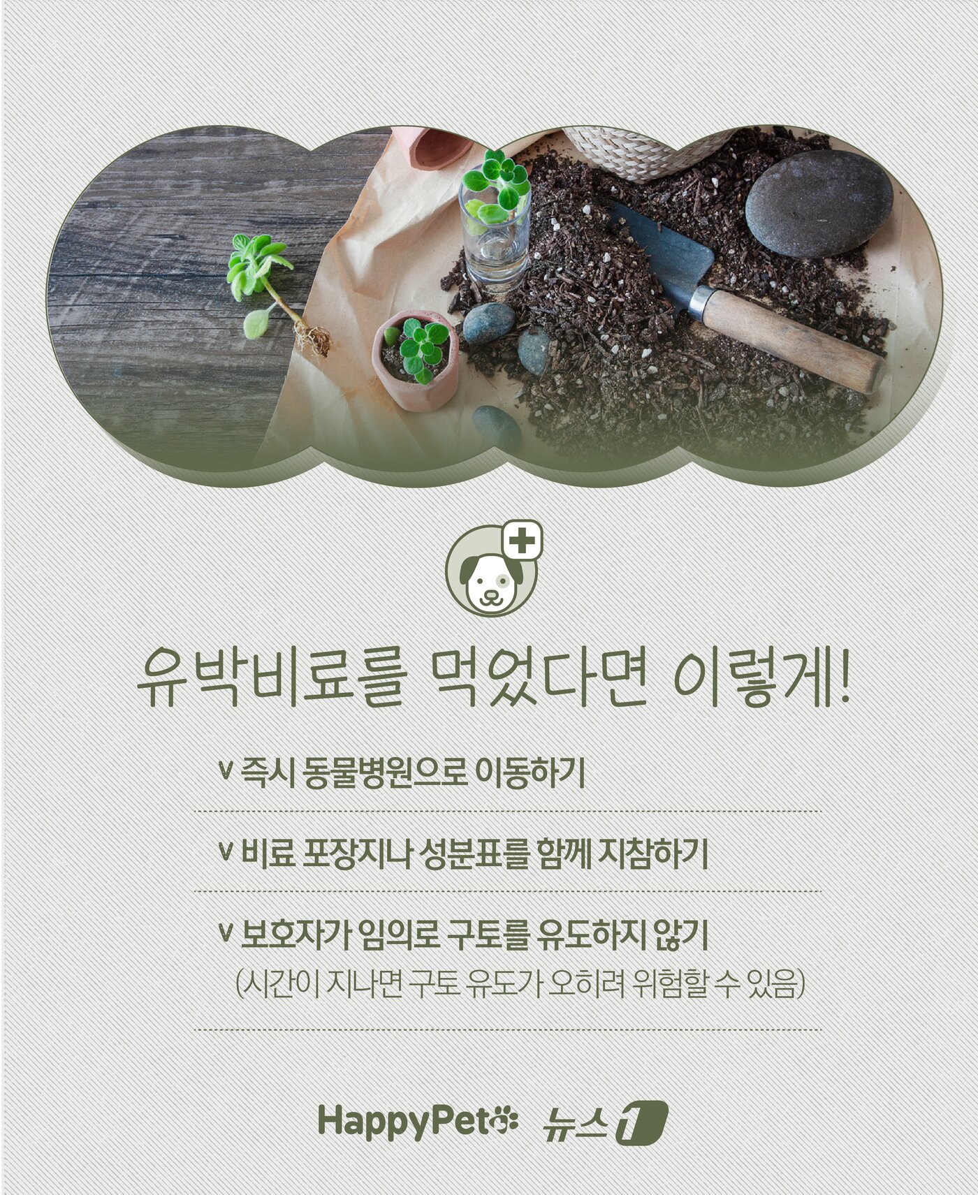 본문 이미지 - ⓒ News1 윤주희 디자이너