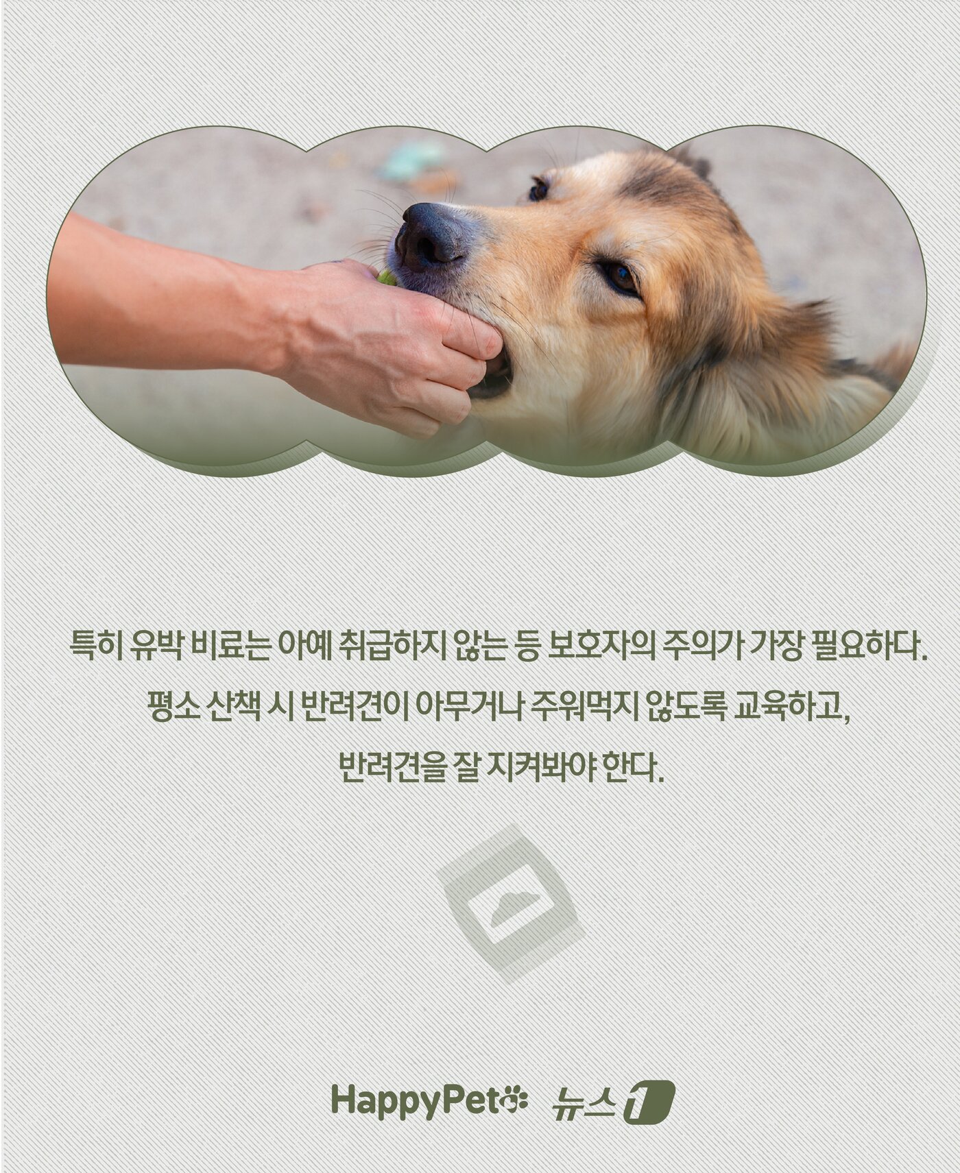 본문 이미지 - ⓒ News1 윤주희 디자이너