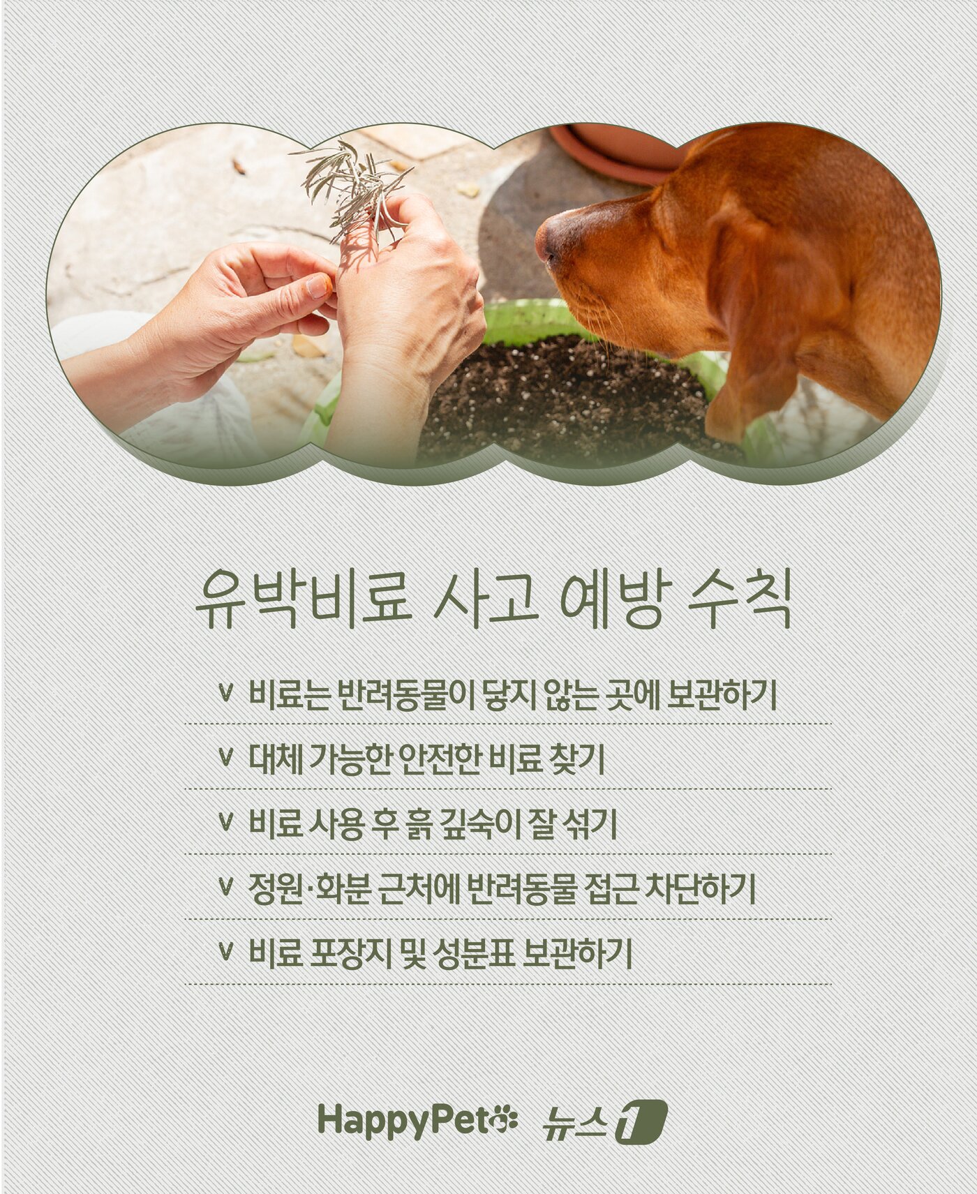 본문 이미지 - ⓒ News1 윤주희 디자이너