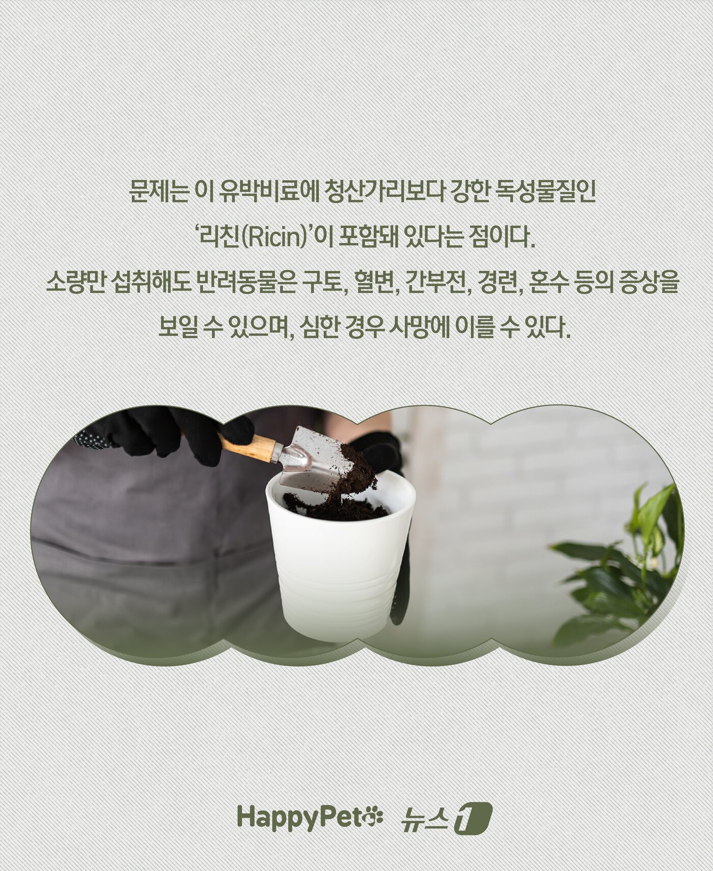 본문 이미지 - ⓒ News1 윤주희 디자이너