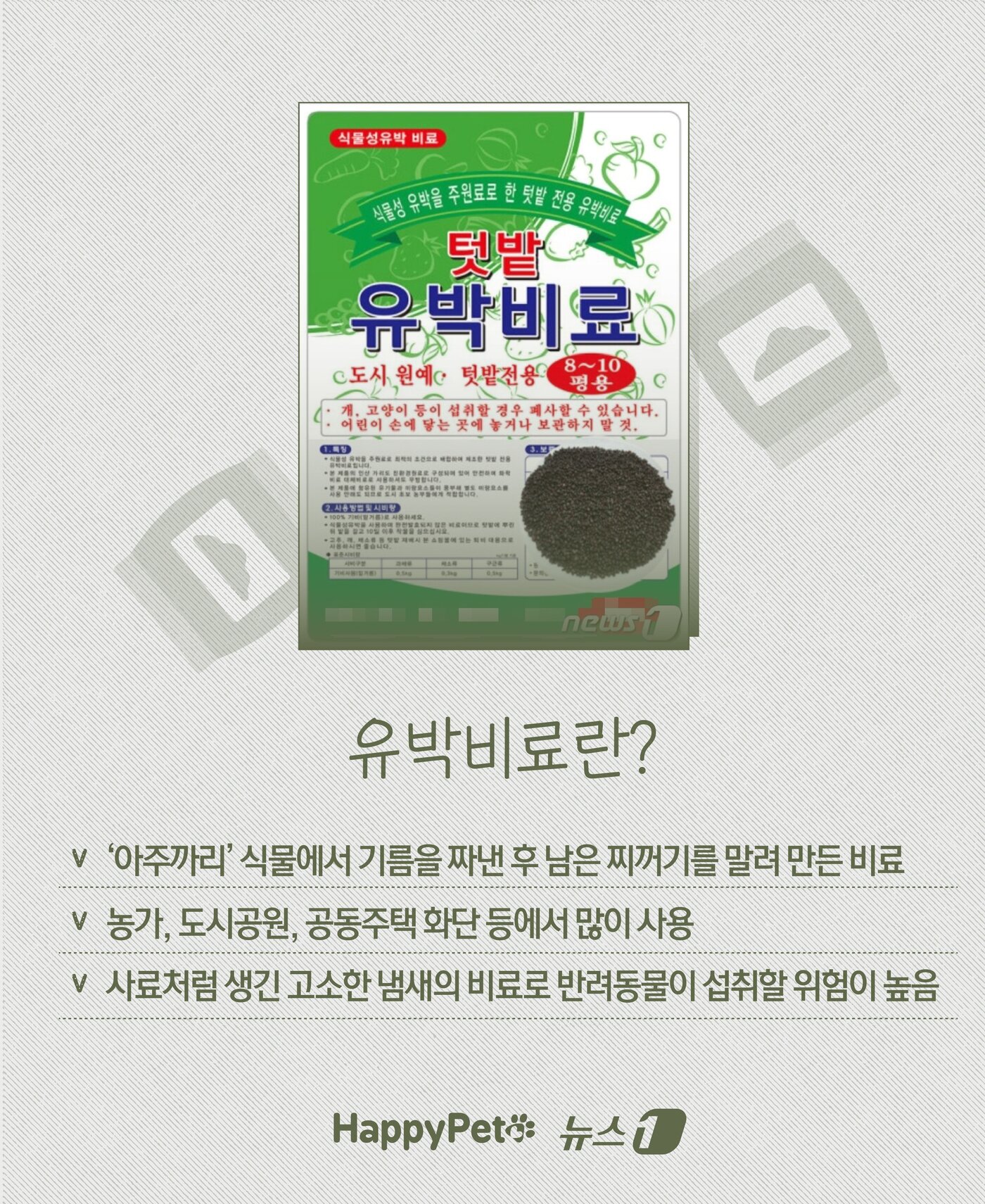 본문 이미지 - ⓒ News1 윤주희 디자이너