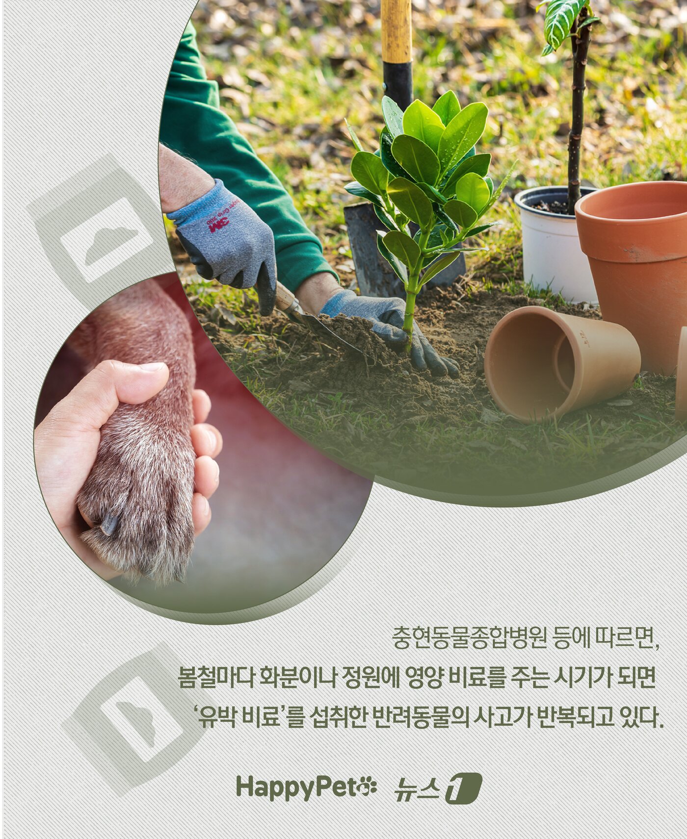 본문 이미지 - ⓒ News1 윤주희 디자이너