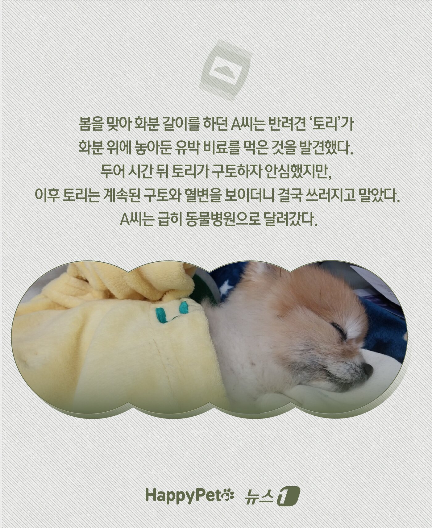 본문 이미지 - ⓒ News1 윤주희 디자이너