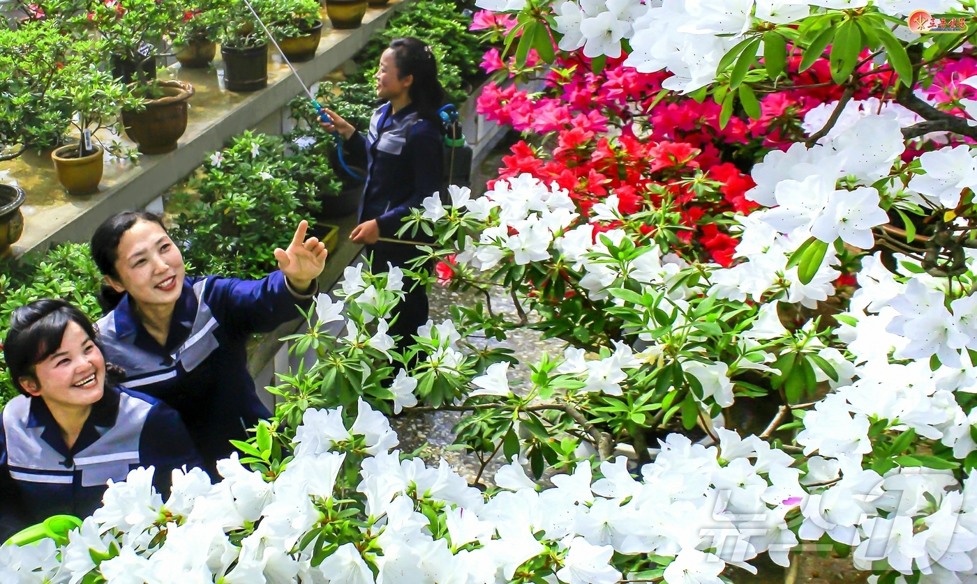 (평양 노동신문=뉴스1) = 북한 노동당 기관지 노동신문은 8일 "중앙식물원 종업원들은 (김정은) 총비서 동지의 영도 밑에 더욱 부강번영하는 조국강산에 꽃향기 그윽히 차넘치게 할 …