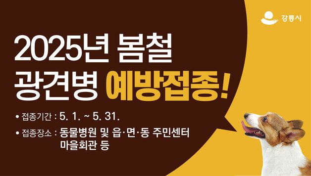 강릉시, 31일까지 봄철 광견병 예방접종
