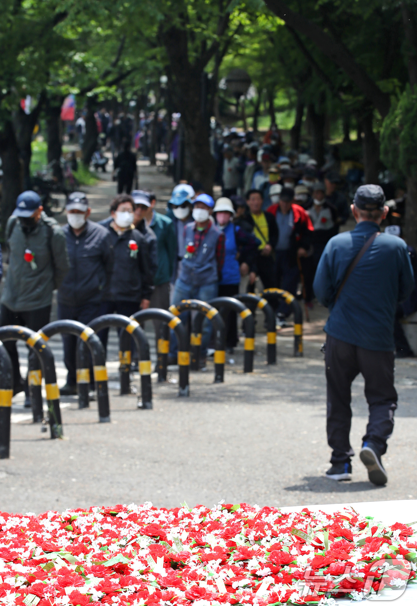 (대구=뉴스1) 공정식 기자 = 어버이날인 8일 오후 대구 달서구 두류공원 사랑해밥차 무료급식소에 어르신을 위한 카네이션이 놓여 있다.무료급식소 측은 이날 어버이날을 맞아 카네이션 …