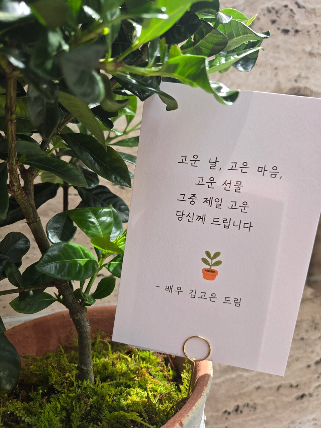 본문 이미지 - BH엔터테인먼트 제공