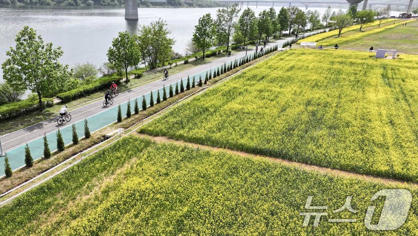 본문 이미지 - 2025 구리 유채꽃 축제 개막을 하루 앞둔 8일 경기도 구리한강시민공원에서 시민들이 자전거 라이딩을 즐기고 있다. 2025.5.8/뉴스1 ⓒ News1 김성진 기자