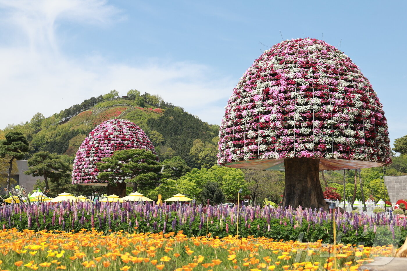 본문 이미지 - 제27회 함평나비대축제 꽃탑.&#40;함평군 제공&#41;
