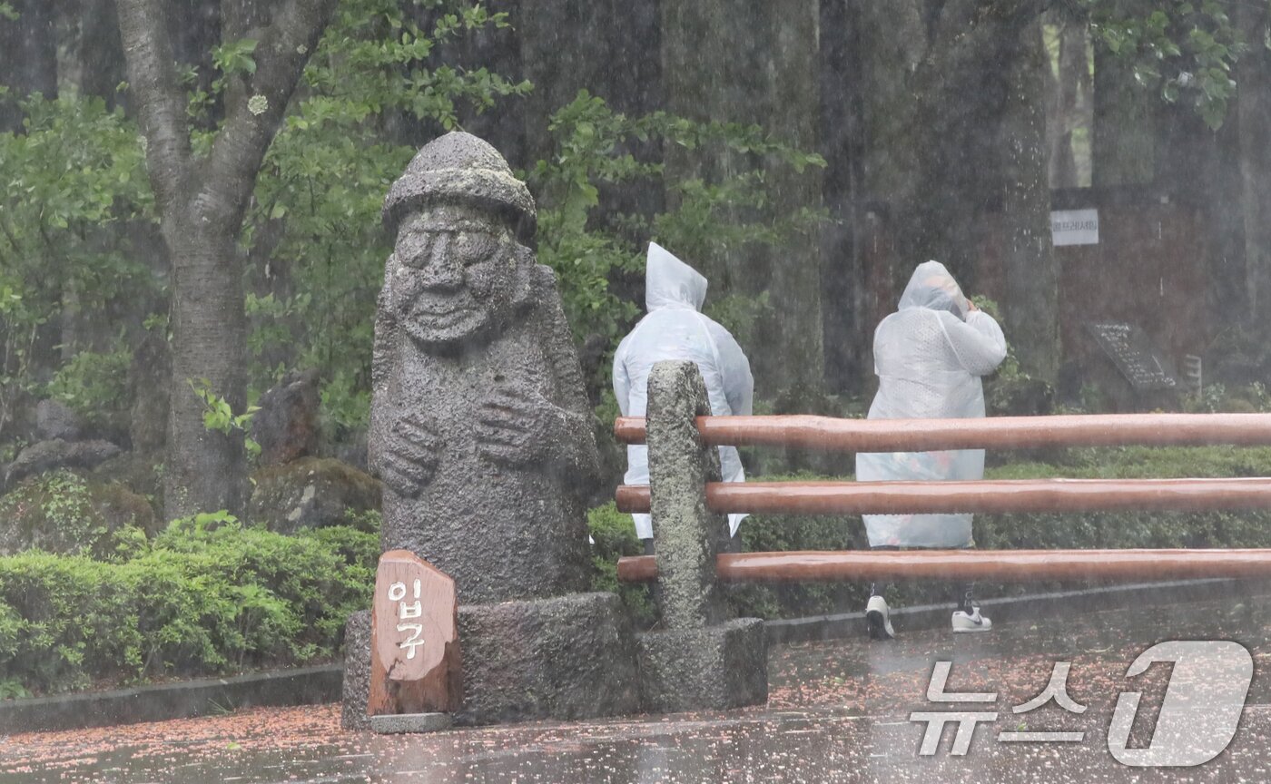 본문 이미지 - 제주 대부분 지역에 호우특보가 내려진 9일 오전 제주시 봉개동 절물자연휴양림에 많은 비가 내려 탐방객이 급히 발걸음을 옮기고 있다. 2025.5.9/뉴스1 ⓒ News1 오현지 기자