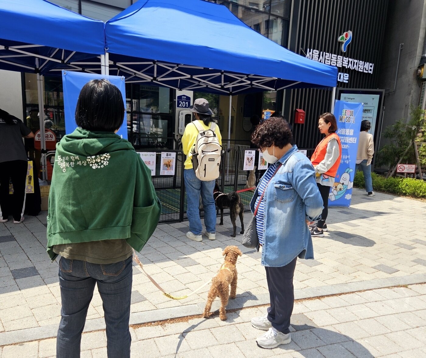 본문 이미지 - 서울동물복지지원센터 동대문에서 5월 한 달간 매주 수요일에 입양 캠페인이 열린다(동행 제공). ⓒ 뉴스1