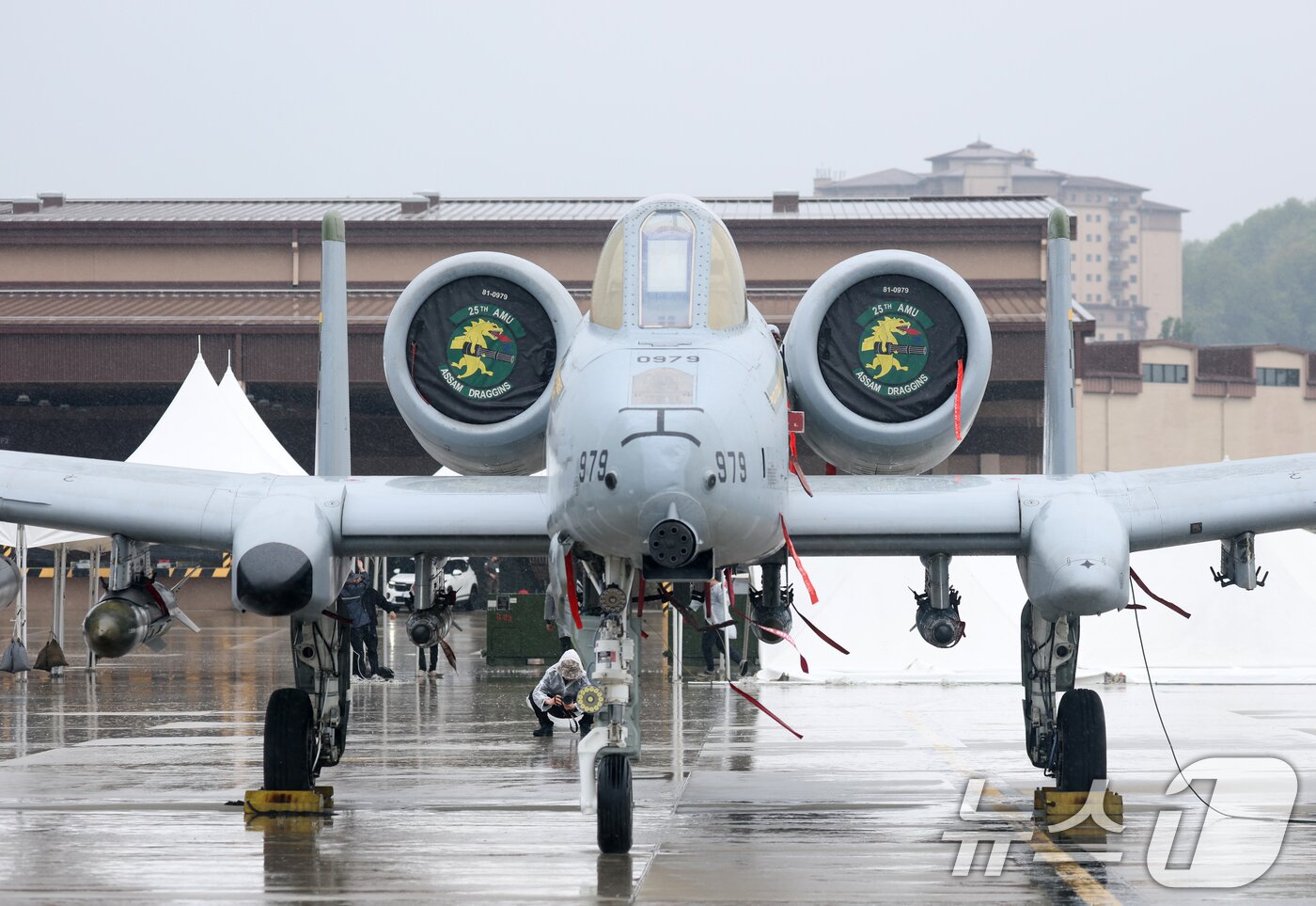 본문 이미지 - 9일 경기 평택시 주한미군 오산공군기지에서 열린 &#39;오산 에어파워데이 2025 미디어데이&#39;에서 퇴역을 앞둔 A-10 공격기가 공개되고 있다. 2025.5.9/뉴스1 ⓒ News1 김영운 기자