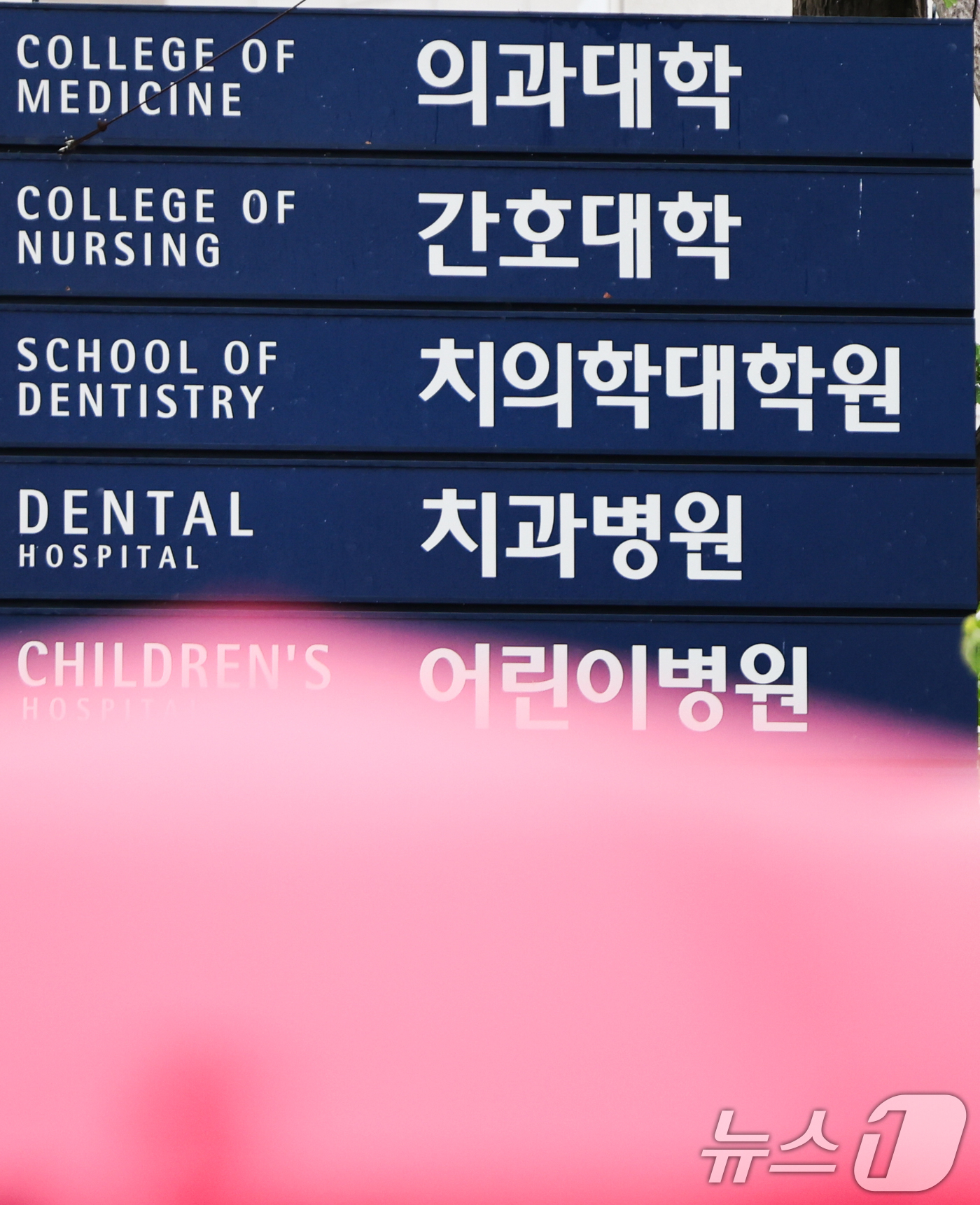 (서울=뉴스1) 허경 기자 = 교육부는 전국 40개 의과대학 재학생 총 1만 9475명 중 42.6%인 8305명을 유급, 46명을 제적 처리한다고 9일 밝혔다.당초 전체 의대생 …
