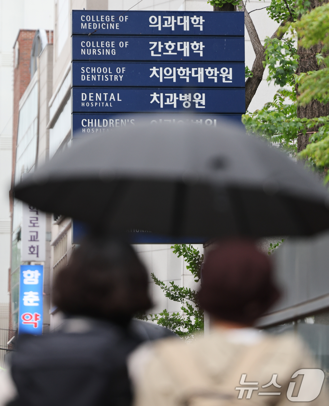 (서울=뉴스1) 허경 기자 = 교육부는 전국 40개 의과대학 재학생 총 1만 9475명 중 42.6%인 8305명을 유급, 46명을 제적 처리한다고 9일 밝혔다.당초 전체 의대생 …