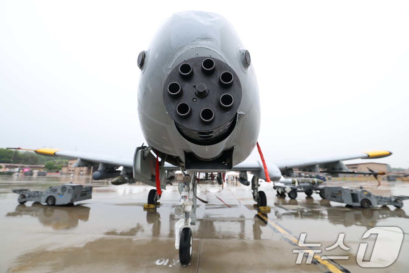 본문 이미지 - 9일 경기 평택시 주한미군 오산공군기지에서 열린 &#39;오산 에어파워데이 2025 미디어데이&#39;에서 퇴역을 앞둔 A-10 공격기가 공개되고 있다. 2025.5.9/뉴스1 ⓒ News1 김영운 기자