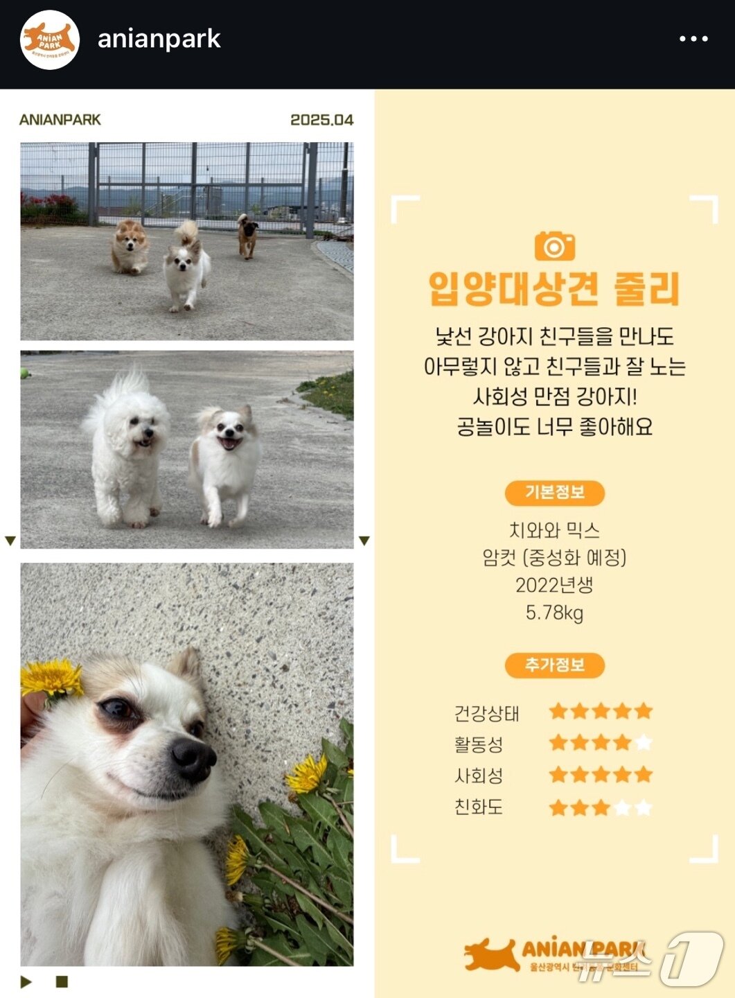 본문 이미지 - 울산애니언파크 인스타그램 공식계정에 올라 온 줄리 홍보 게시글 갈무리.