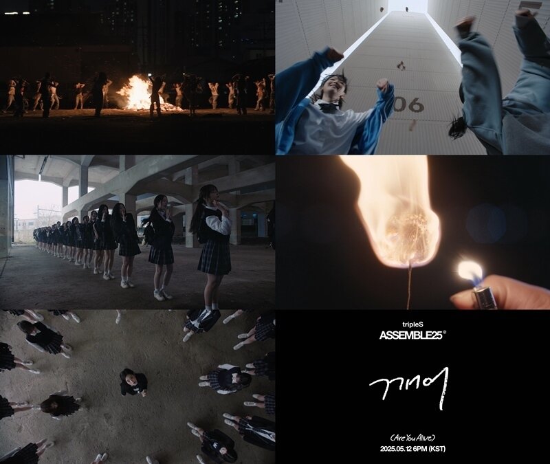 본문 이미지 - 사진제공=모드하우스