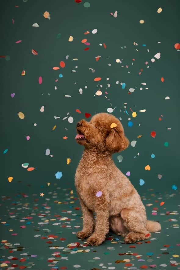 본문 이미지 - 표정부자 짜장이의 스튜디오 사진&#40;인스타그램 minju1998 제공&#41; ⓒ 뉴스1