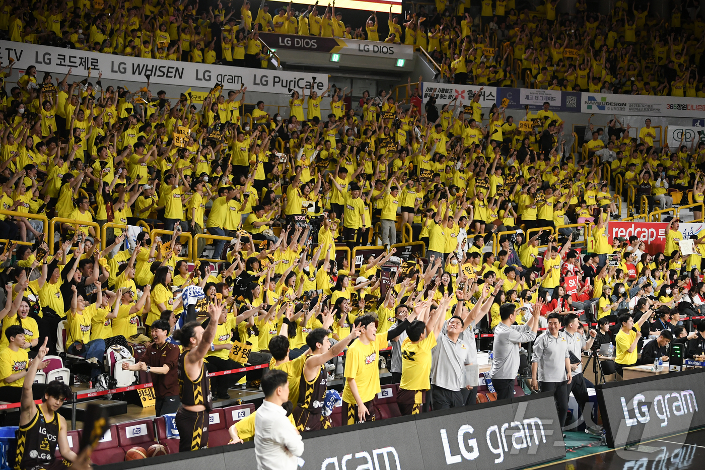 (서울=뉴스1) 포토공용 기자 = 5일 경남 창원체육관에서 열린 '2024-25 KCC 프로농구 챔피언결정전 3차전' 창원 LG 세이커스와 서울 SK 나이츠의 경기, 창원 LG 응 …