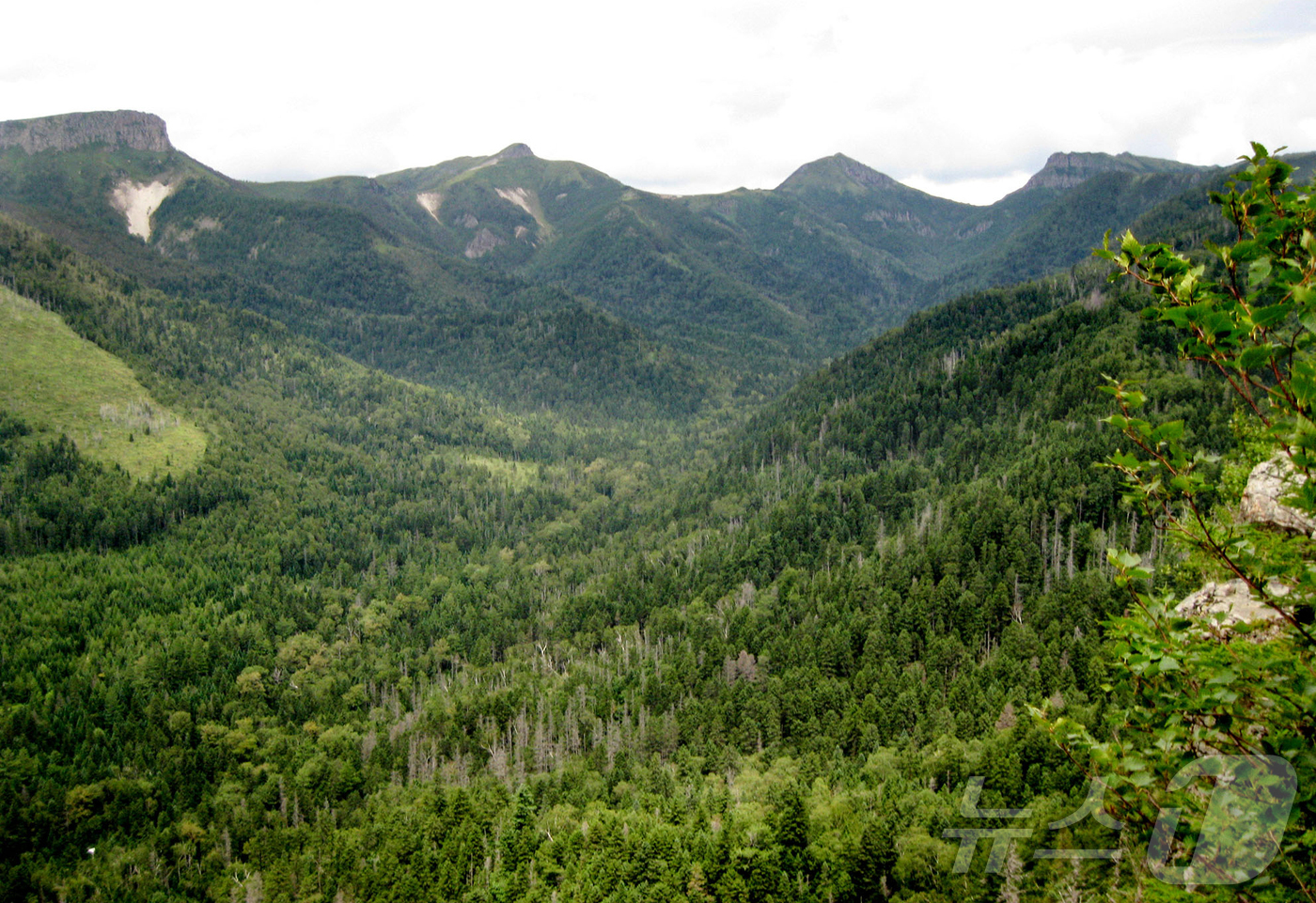 (평양 노동신문=뉴스1) = 북한 노동당 기관지 노동신문은 1일 유네스코 세계지질공원으로 지정된 백두산지구의 간백산화산, 베개봉화산, 소연지봉소화산체, 무두봉화산체를 소개했다. [ …