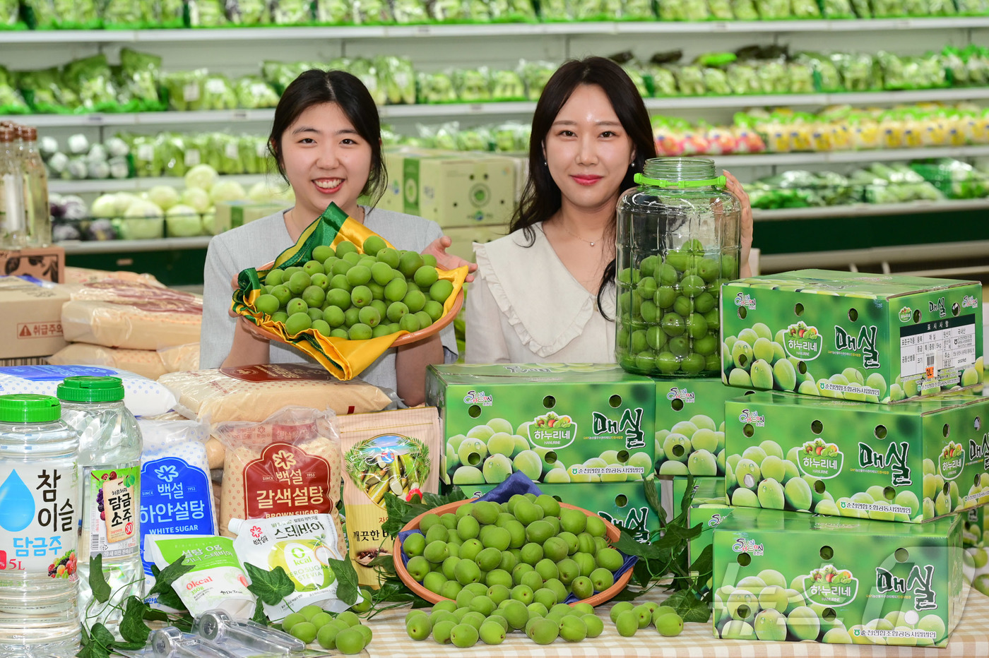 (서울=뉴스1) = 1일 서울 서초구 하나로마트 양재점에서 모델들이 올해 처음 출하된 매실을 선보이고 있다.피로 해소와 열을 내리는 데 좋다고 알려진 매실은 '동의보감'과 '본초강 …