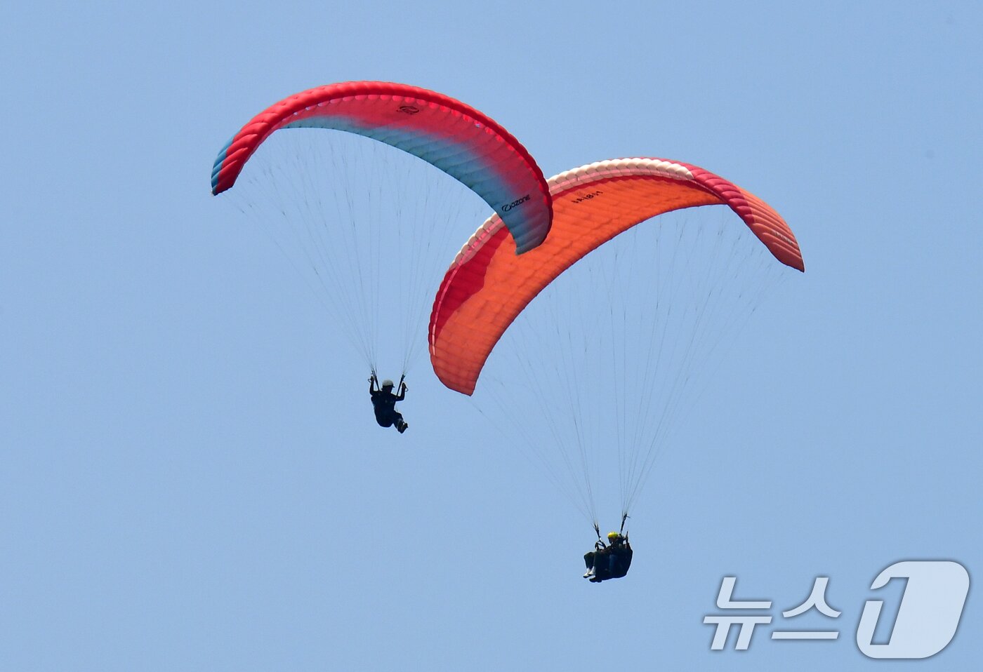 본문 이미지 - 1일 경북 포항시 북구 흥해읍 칠포해수욕장 백사장과 곤륜산 일원에서 개최된 '2025 한국 패러글라이딩 리그 1차전(정밀착륙)' 경기에서 선수들이 목표 지점을 향해 내려오고 있다. 2025.6.1/뉴스1 ⓒ News1 최창호 기자