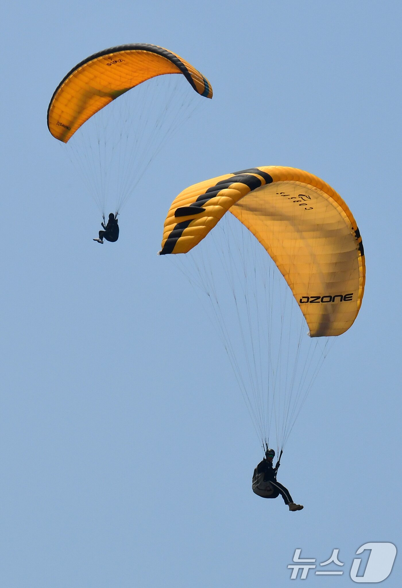 본문 이미지 - 1일 경북 포항시 북구 흥해읍 칠포해수욕장 백사장과 곤륜산 일원에서 개최된 '2025 한국 패러글라이딩 리그 1차전(정밀착륙)' 경기에서 선수들이 목표 지점을 향해 착륙 준비를 하고 있다. 2025.6.1/뉴스1 ⓒ News1 최창호 기자