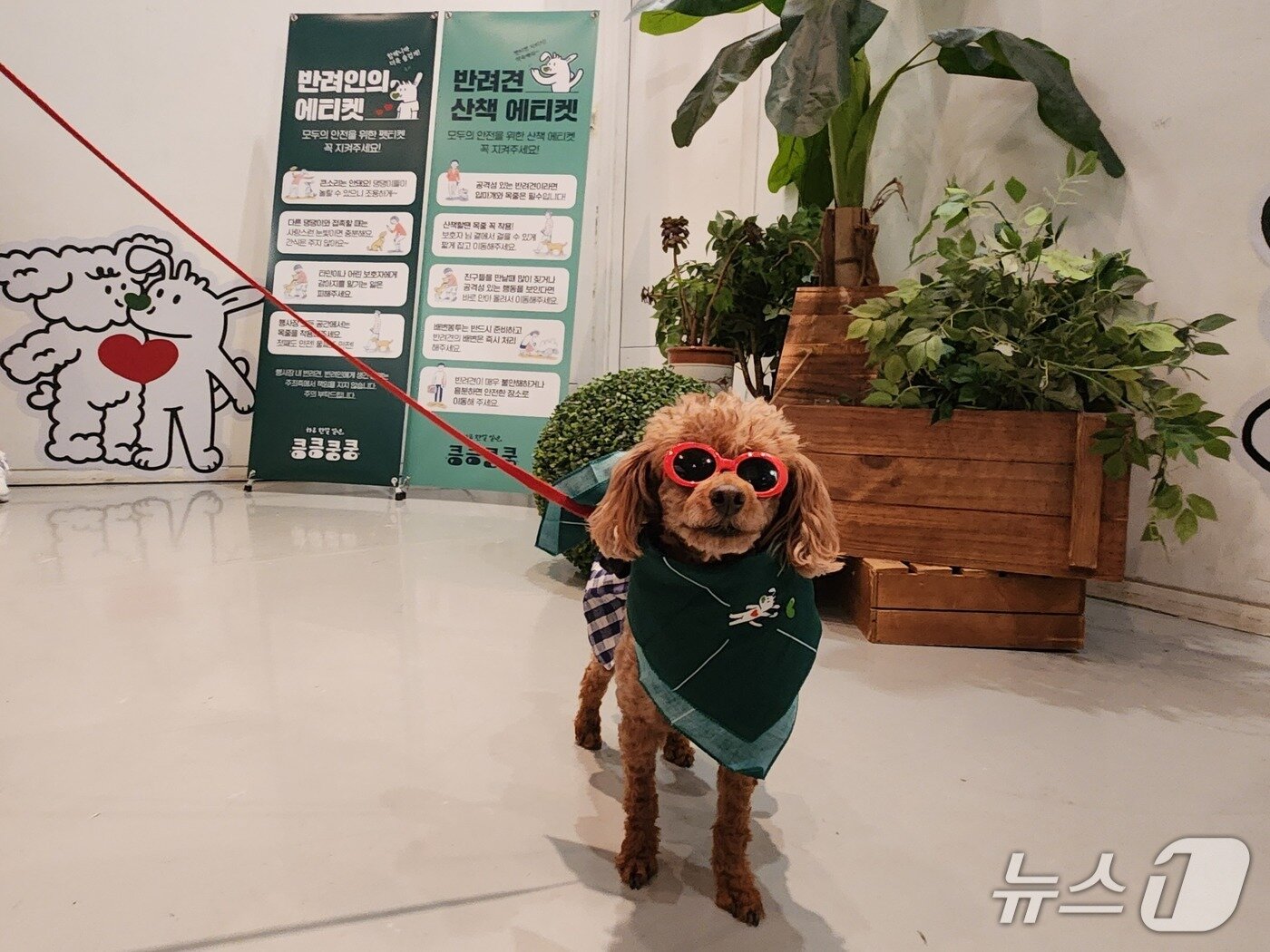 본문 이미지 - 킁킁쿵쿵 캠페인 스카프를 매고 행사에 참여하기 위해 대기 중인 반려견 ⓒ 뉴스1 한송아 기자