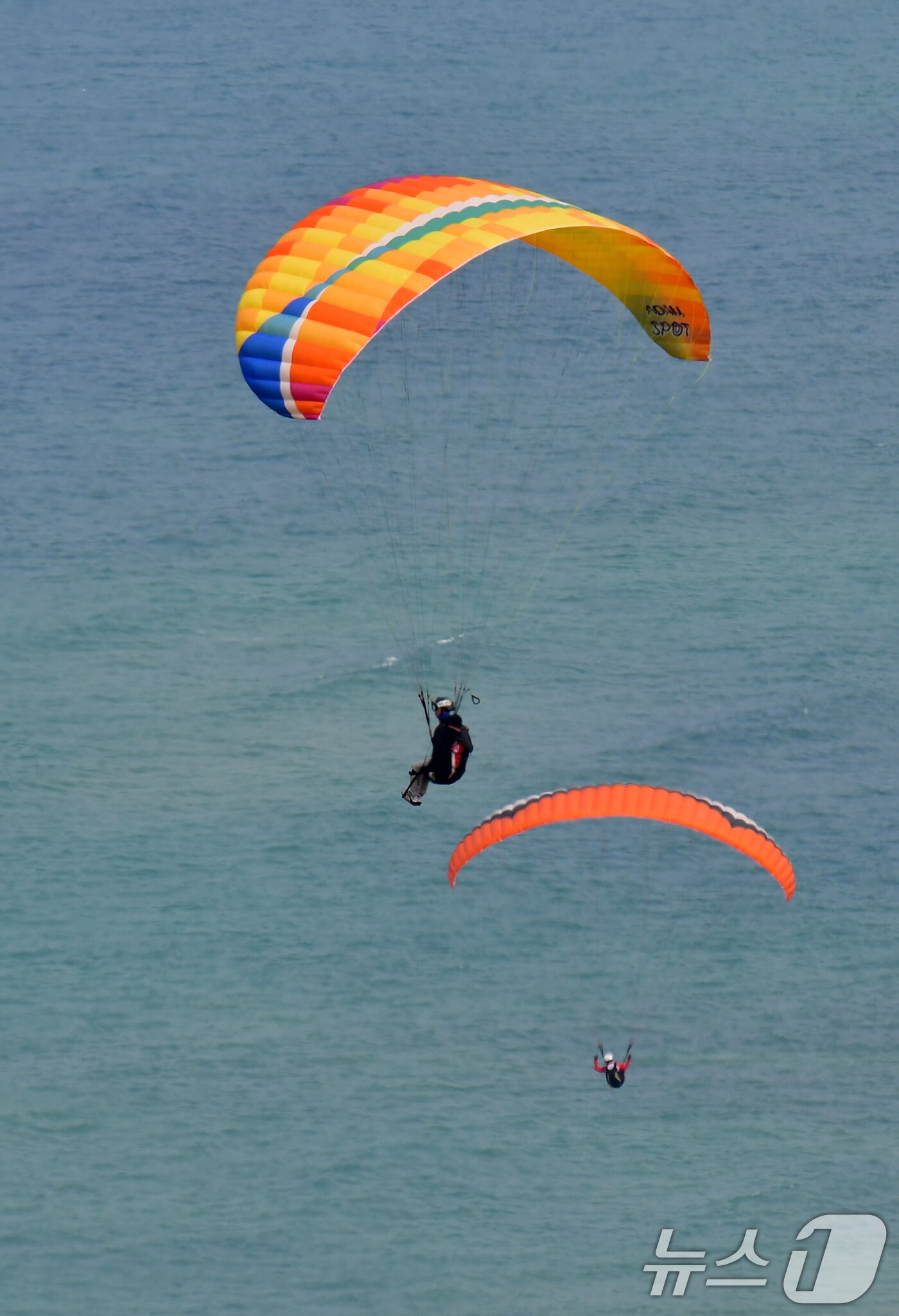 본문 이미지 - 1일 경북 포항시 북구 흥해읍 칠포해수욕장 백사장과 곤륜산 일원에서 개최된 '2025 한국 패러글라이딩 리그 1차전(정밀착륙)' 경기에서 선수들이 바다를 배경으로 비행하고 있다.  2025.6.1/뉴스1 ⓒ News1 최창호 기자