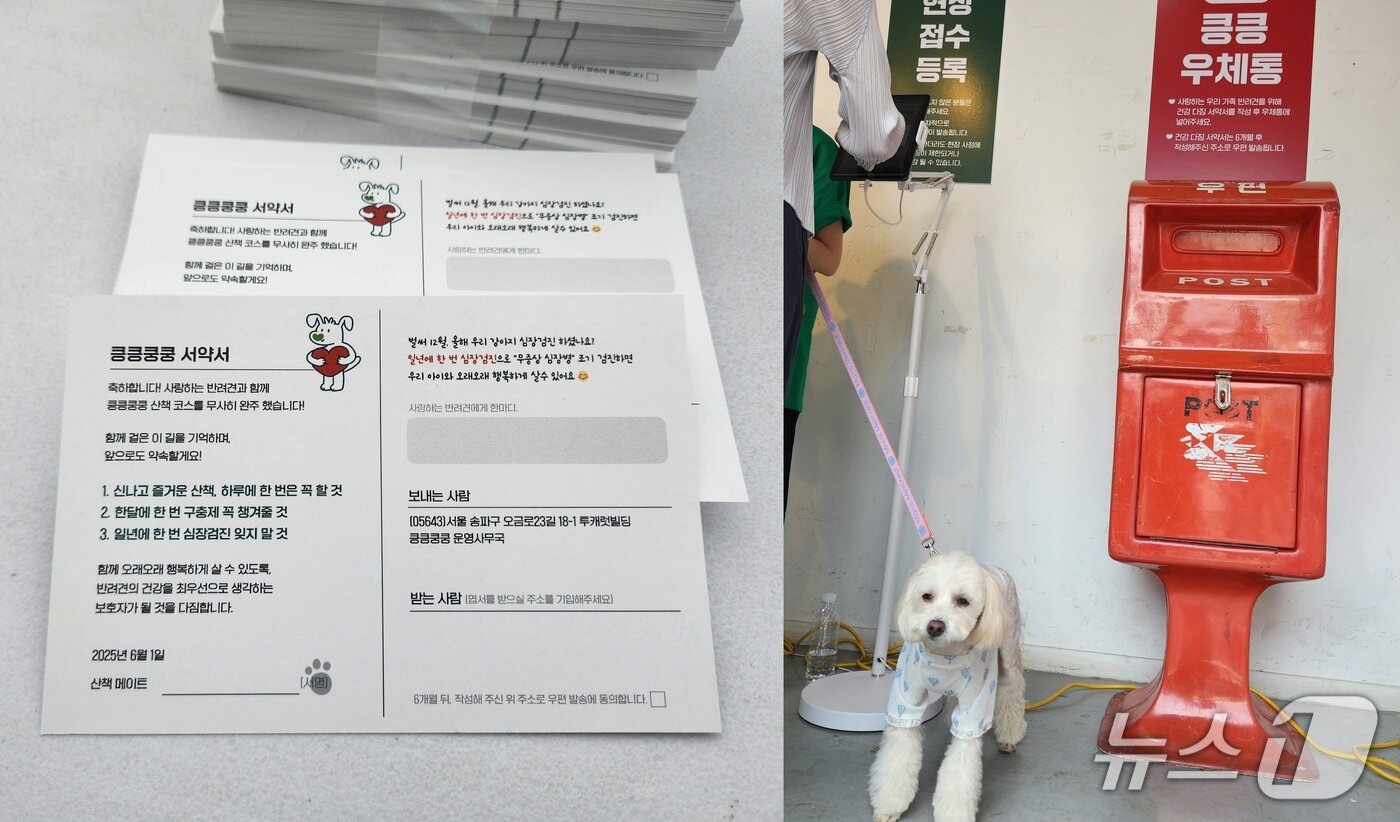 본문 이미지 - 산책 챌린지 후 반려견의 건강을 위한 서약서를 우체통에 넣으면 미션 완료. 서약서는 6개월 후 보호자의 집으로 발송돼 보호자들이 반려견 건강 관리에 대한 다짐을 기억하도록 기획됐다. ⓒ 뉴스1 한송아 기자