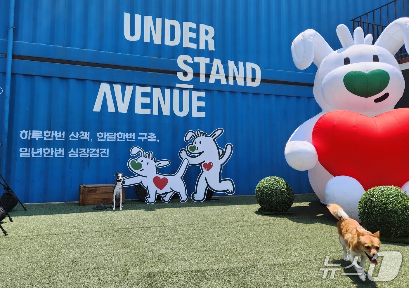 본문 이미지 - 킁킁쿵쿵 캠페인 행사장에 마련된 포토존에서 반려견이 기념 사진을 찍고 있다. ⓒ 뉴스1 한송아 기자