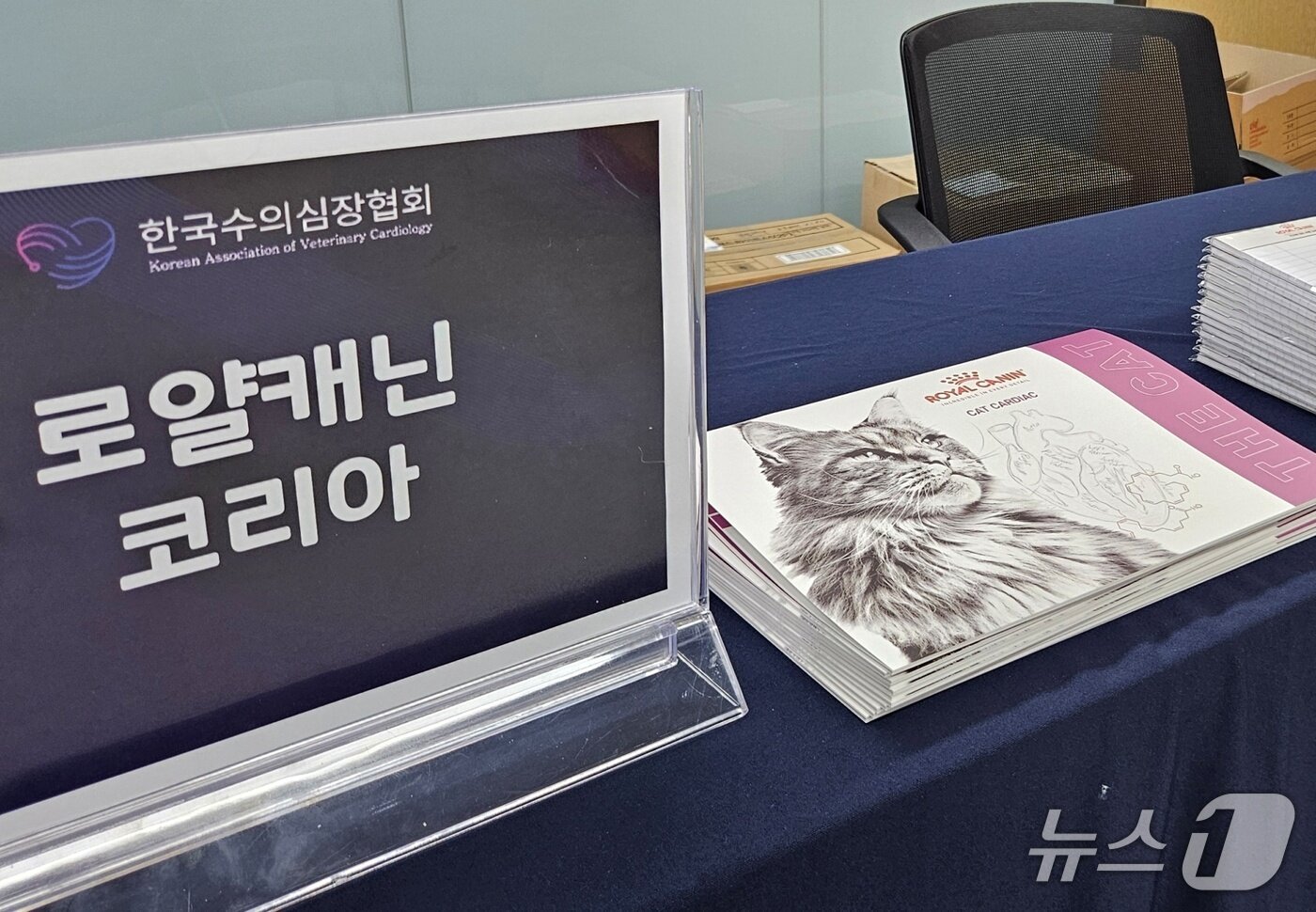 본문 이미지 - 2025 한국수의심장협회 오프라인 심포지엄(KCVS) 참가 기업들이 1일 다양한 제품을 선보였다. ⓒ 뉴스1