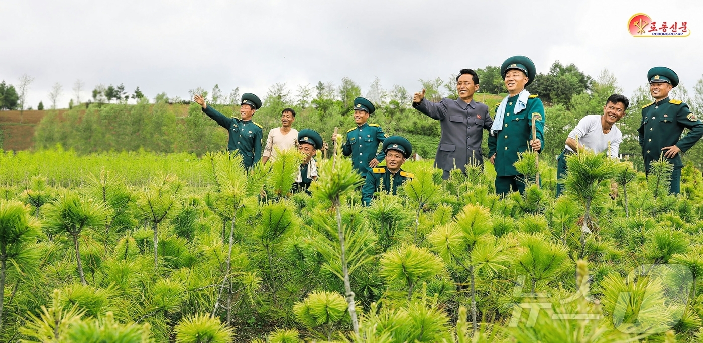 (평양 노동신문=뉴스1) = 북한 노동당 기관지 노동신문은 10일 산림 복구사업의 '혁신적인 일본새'를 강조했다. [국내에서만 사용가능. 재배포 금지. DB 금지. For Use …