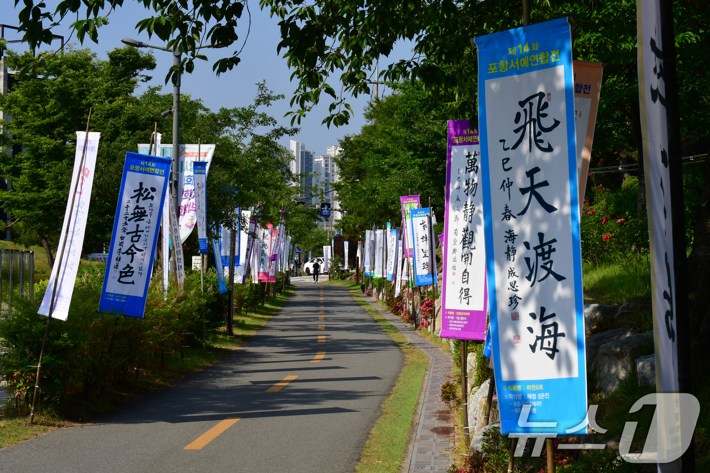 (포항=뉴스1) 최창호 기자 = 10일 경북 포항시 남구 철길 숲 길을 따라 제14회 포항서예연합전(깃발展)이 열리고 있다. 2025.6.10/뉴스1