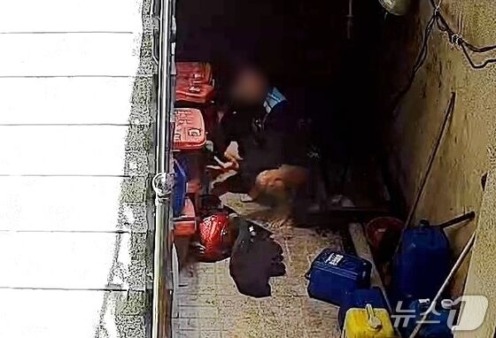"계단서 똥 싸고 음란행위? 배탈로 바지에 실례해 벗었다" 배달기사 억울