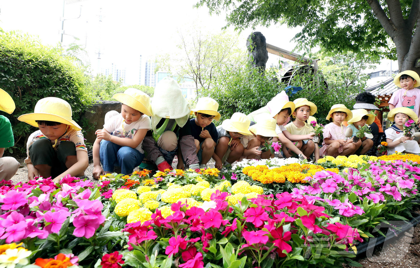 (광주=뉴스1) 박지현 기자 = 10일 광주 북구청 광장에서 직장어린이집 아이들과 직원들이 메리골드, 백일홍, 일일초 등의 여름꽃을 심고 있다. (광주 북구 제공. 재판매 및 DB …