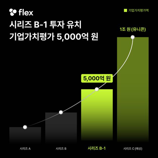 "기업가치 5천억"…플렉스, 시리즈B 브릿지 투자 유치