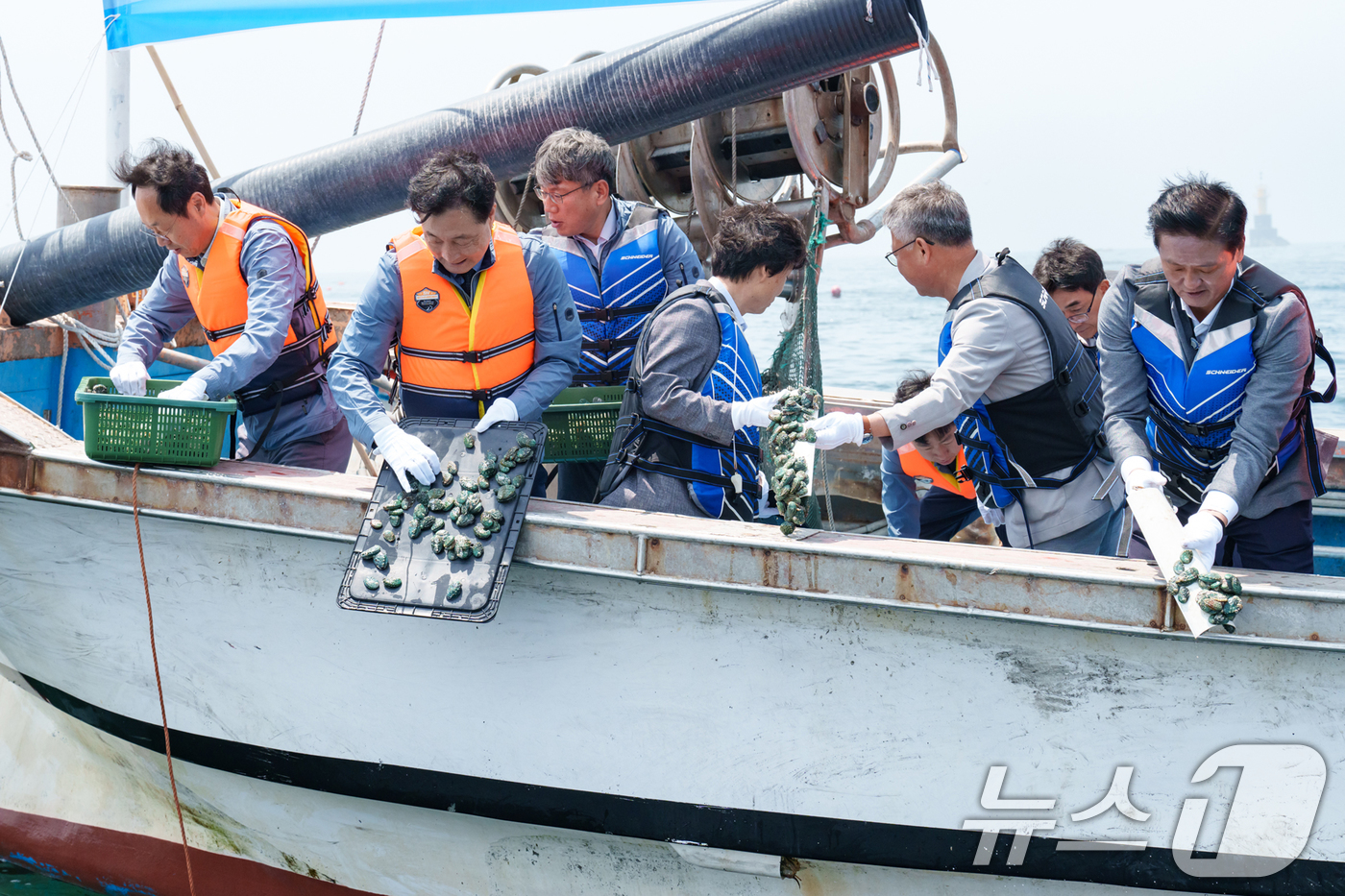 (경주=뉴스1) 최창호 기자 = 한국수력원자력 월성원자력본부가 11일 제30회 바다의 날을 기념해 경북 경주 척사항과 발전소 인근 해역에 발전소 온배수로 양식한 강도다리 치어 6만 …