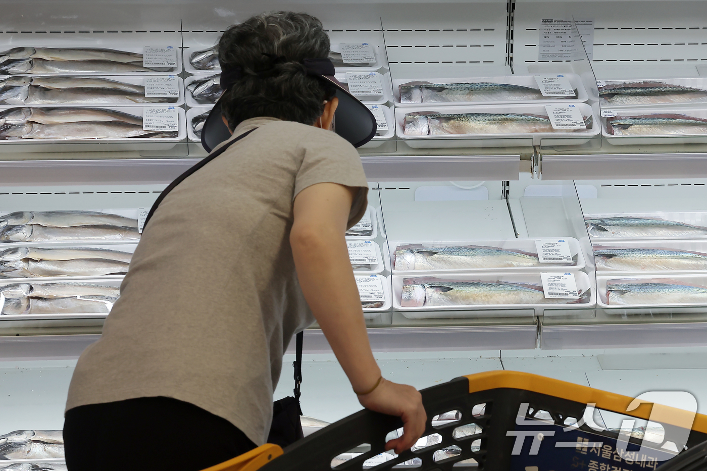 (서울=뉴스1) 박정호 기자 = ‘대한민국 수산대전-여름맞이 특별전’이 시작된 11일 서울 시내 대형마트를 찾은 고객들이 수산물을 고르고 있다.해양수산부는 소비자 장바구니 물가 부 …