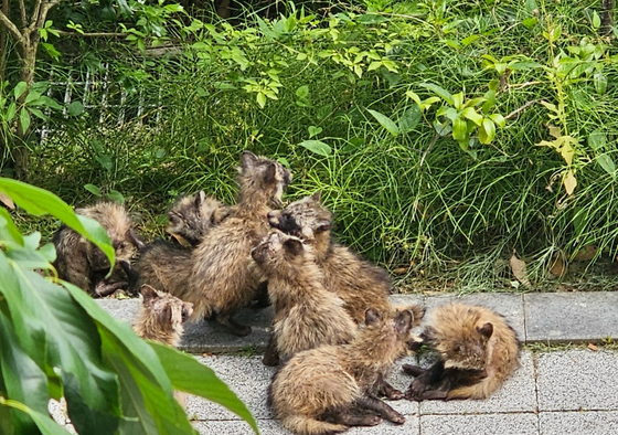 많이 본 뉴스
