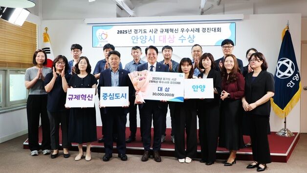 '맨홀 충격 방지구' 지원한 안양시, 경기도 규제혁신 '대상'