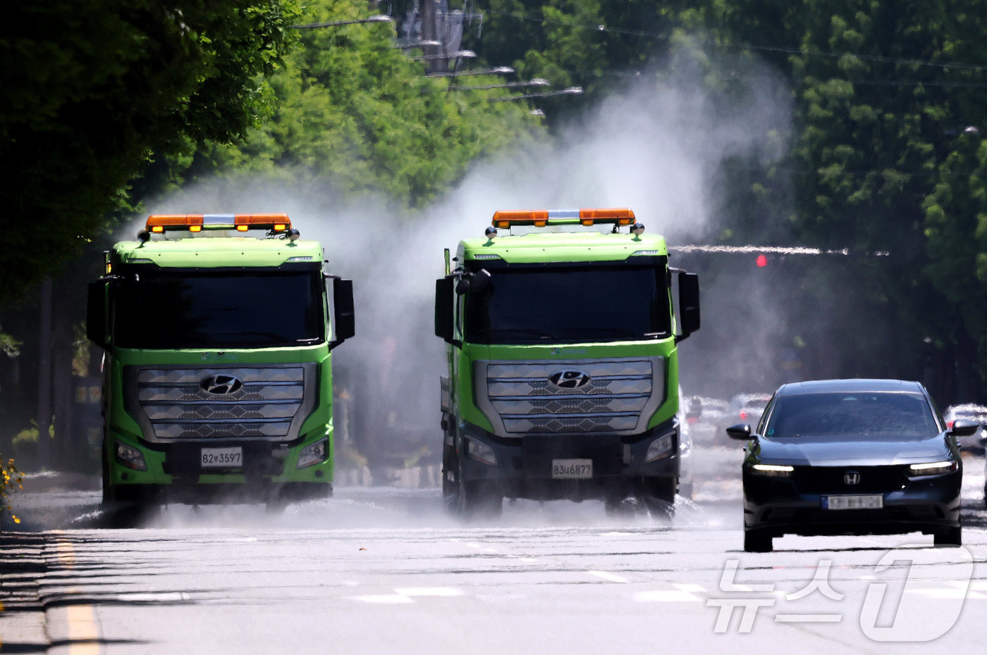 (광주=뉴스1) 박지현 기자 = 30도가 넘는 무더운 날씨가 이어지고 있는 11일 광주 북구청 기후환경과 기후변화대응팀 직원들이 살수차를 이용해 도로에 물을 뿌리고 있다. (광주 …