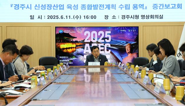 경주시, 신성장산업 육성 종합발전계획 수립 용역 중간보고회 개최