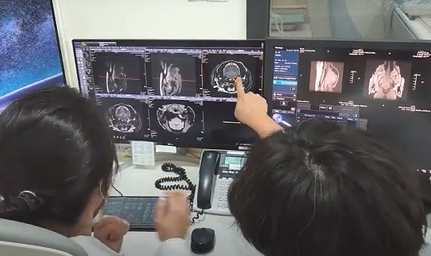 본문 이미지 - 안양 본동물의료센터 의료진이 MRI 촬영을 진행하며 모니터링을 하고 있다&#40;본동물의료센터 제공&#41;. ⓒ 뉴스1