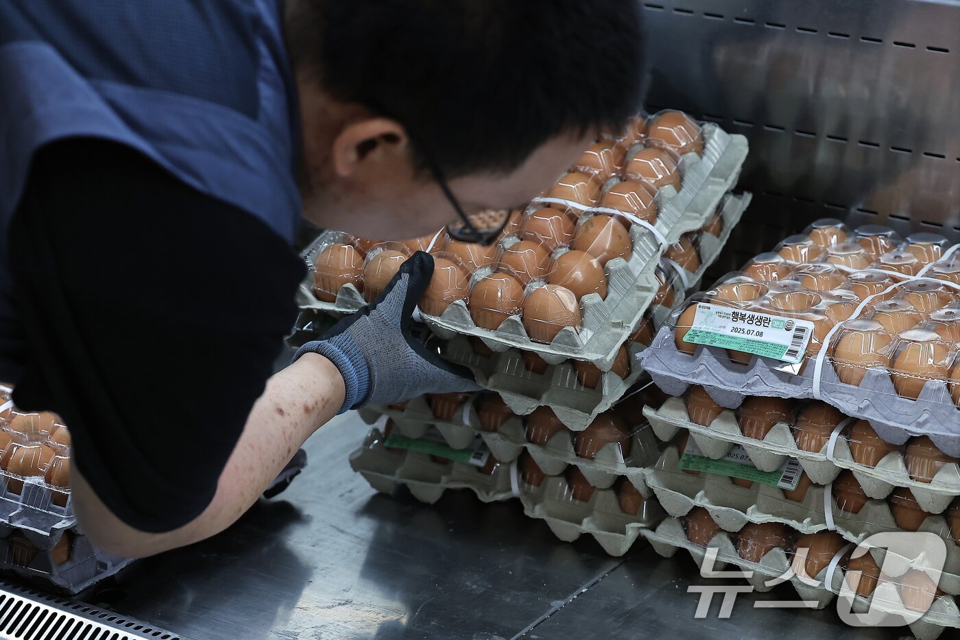 본문 이미지 - 30입 계란 한 판 4,990원 단 하루 특가 행사가 열린 12일 오전 서울 중구 한강대로 롯데마트 제타플렉스 서울역점에서 직원이 빈 계란 매대를 다시 채우고 있다. 2025.6.12/뉴스1 ⓒ News1 박정호 기자