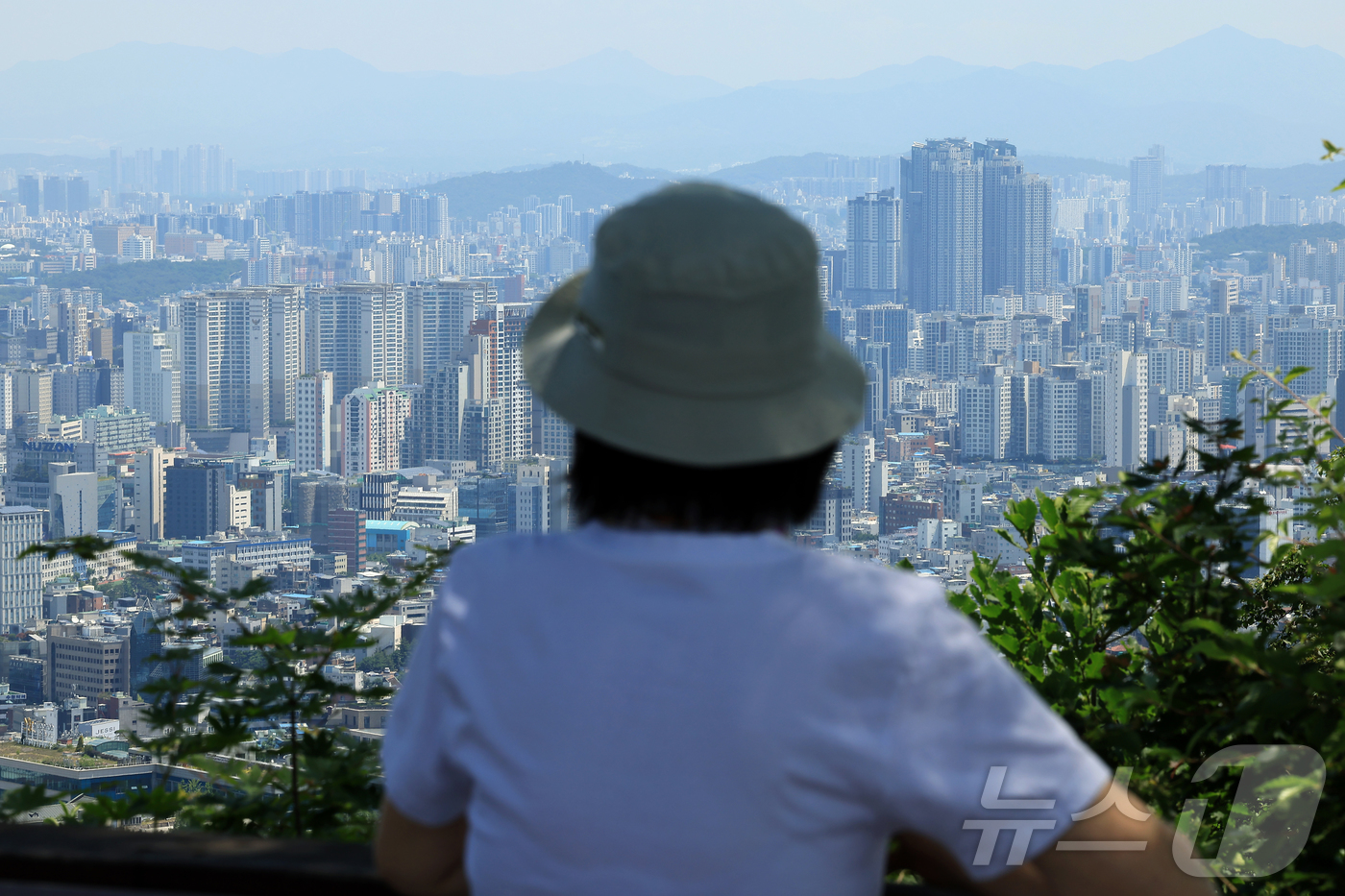 (서울=뉴스1) 박정호 기자 = 서울 아파트값이 19주 연속 상승세를 보인 12일 서울 남산을 찾은 시민이 도심 아파트단지 등을 바라보고 있다.한국부동산원이 발표한 2025년 6월 …