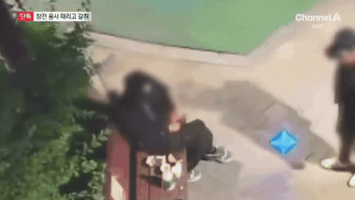 본문 이미지 - (채널A 갈무리)