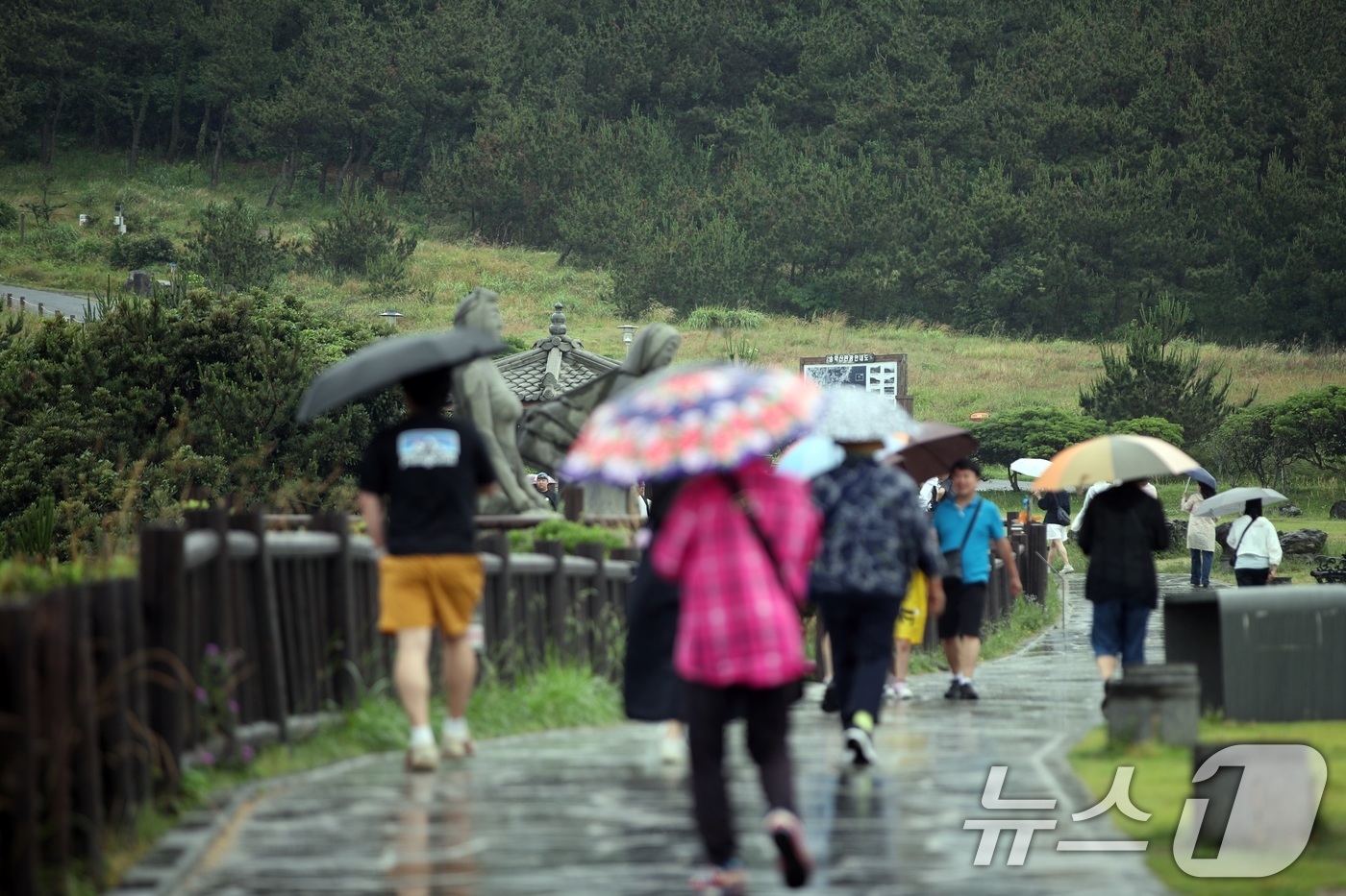 (제주=뉴스1) 고동명 기자 = 12일 오후 제주 서귀포시 안덕면 송악산 인근에 올해 첫 장맛비가 내리고 있다.2025.6.12/뉴스1
