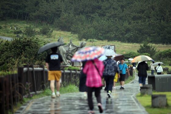 "제주는 괜찮은 줄 알았는데"…작년 비 내린 날 이틀 빼고 '산성비'