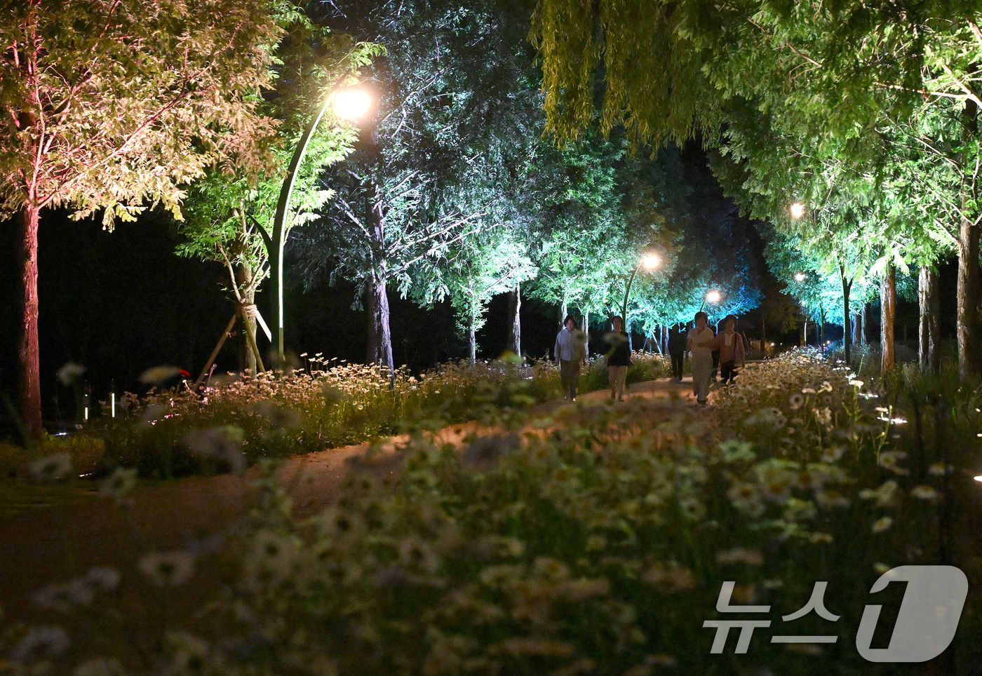 (서울=뉴스1) = 지난 11일 밤 경남 거창군 남상면 거창창포원에서 방문객들이 화려한 야간 조명과 함께 여름밤을 즐기고 있다. (거창군 제공. 재판매 및 DB 금지) 2025.6 …